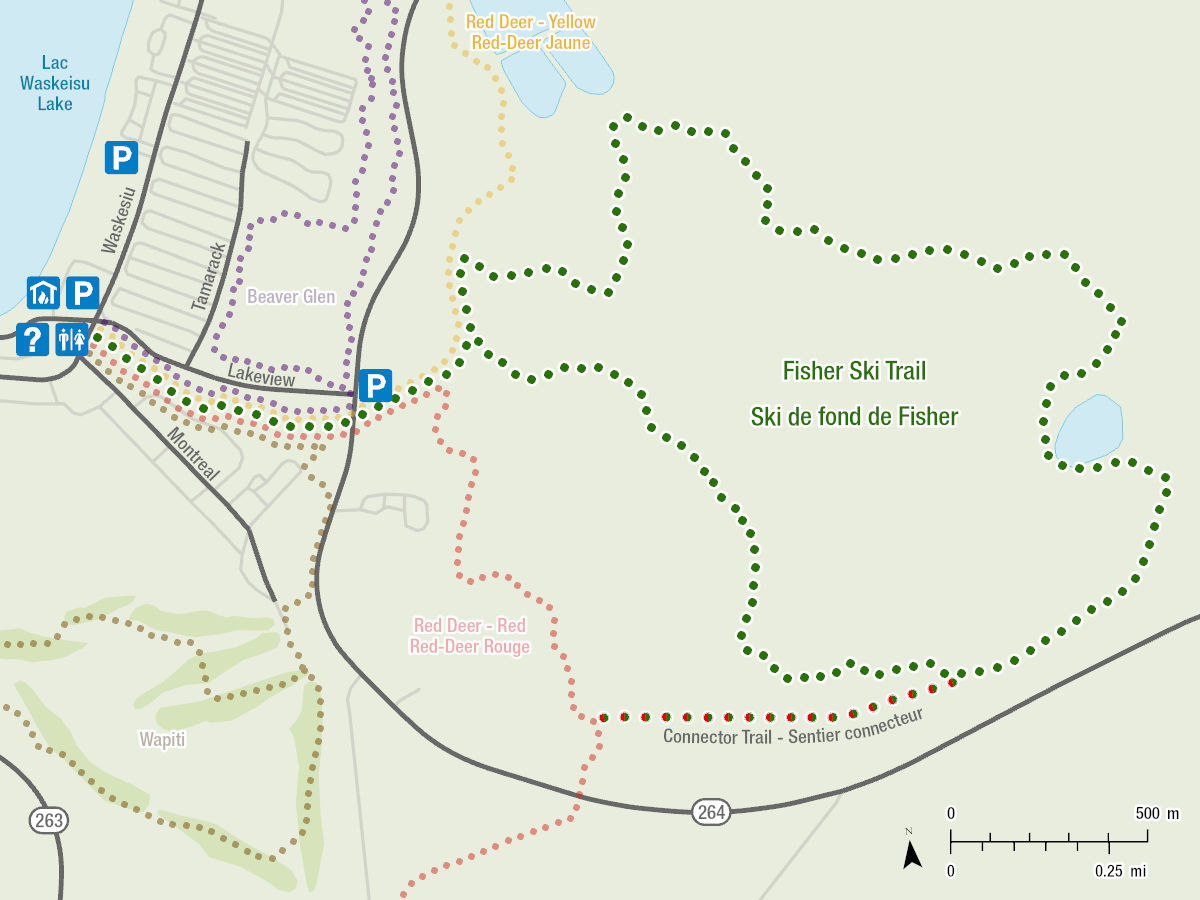 Cette carte montre la piste de ski Fisher à partir d’une vue aérienne. La carte démontre le chemin de la piste en vert et sa position comparé aux pistes Red Deer – Rouge, Red Deer – Jaune, Beaver Glen et Wapiti.