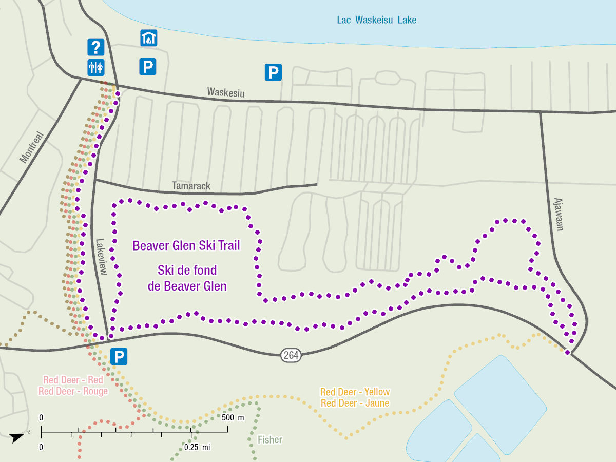This map shows the Beaver Glen Ski Trail in the townsite of Waskesiu from a bird’s eye view. The map depicts the route of the trail and it’s position compared to the Red Deer – Red and Red Deer – Yellow ski trails.