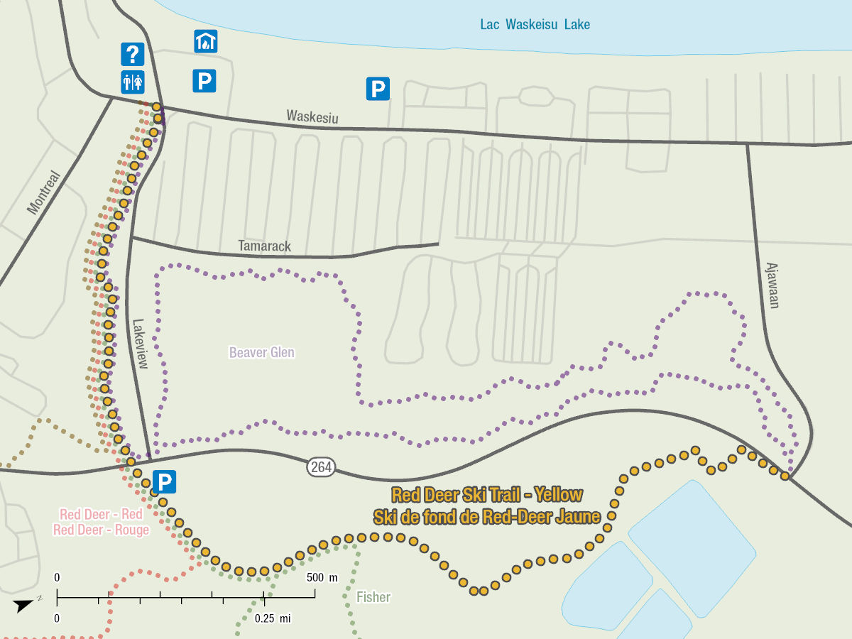 Cette carte montre la piste de ski Red Deer – Jaune à partir d’une vue aérienne. La carte démontre le chemin de la piste et sa position comparé aux pistes Red Deer – Rouge, Fisher et Beaver Glen.