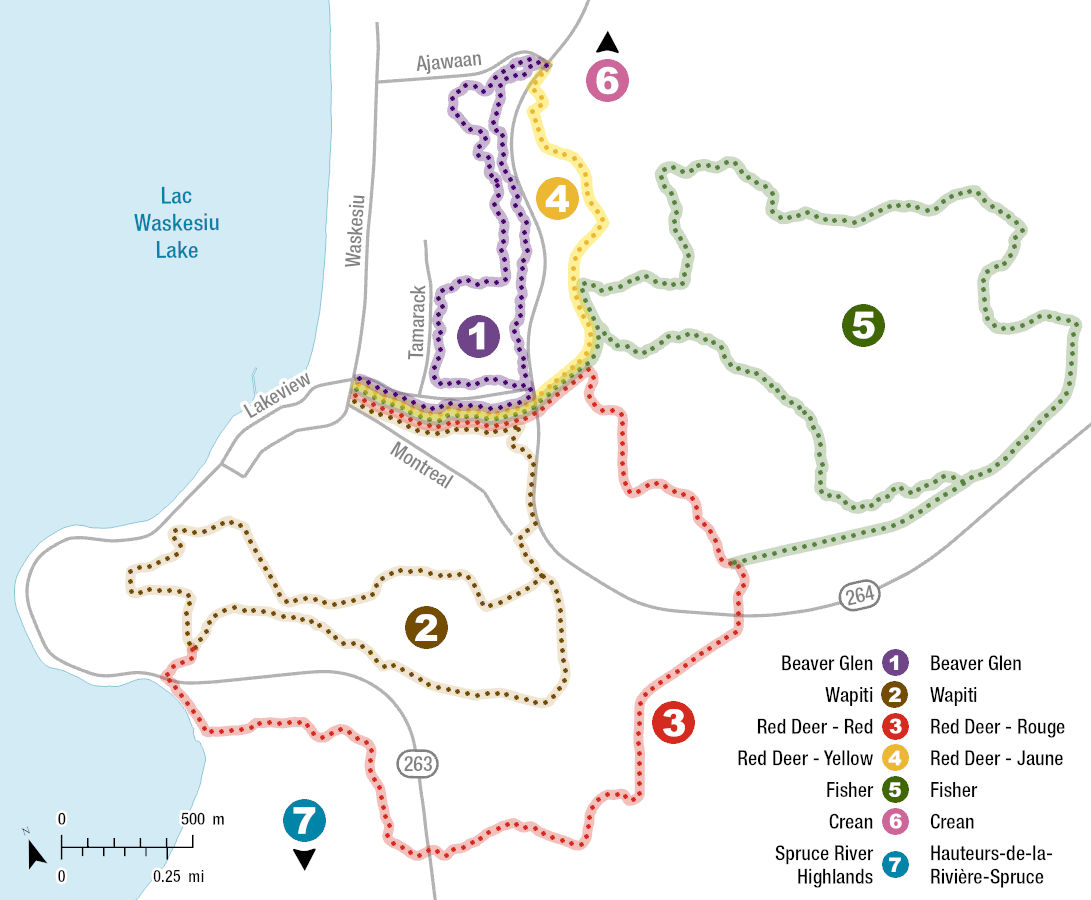 This map shows an overview of the cross-country ski trails in the townsite of Waskesiu from a bird’s eye view. 