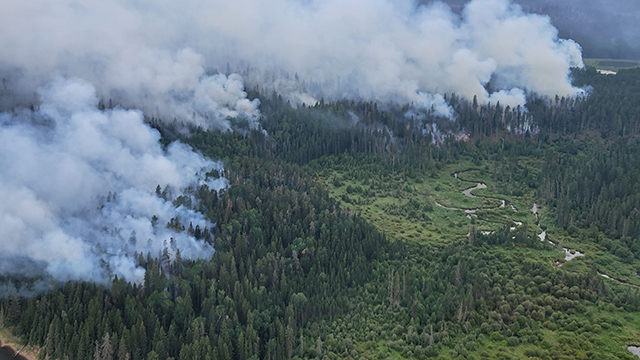 Wildfire burning in a forest, with thick smoke rising from trees.