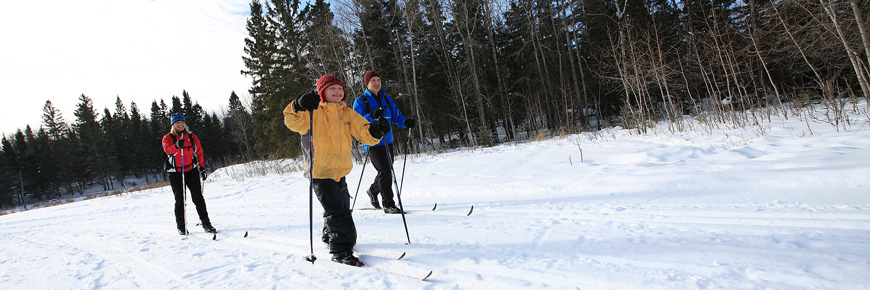 Une famille de trois personnes skie sur une piste damée dans la forêt.