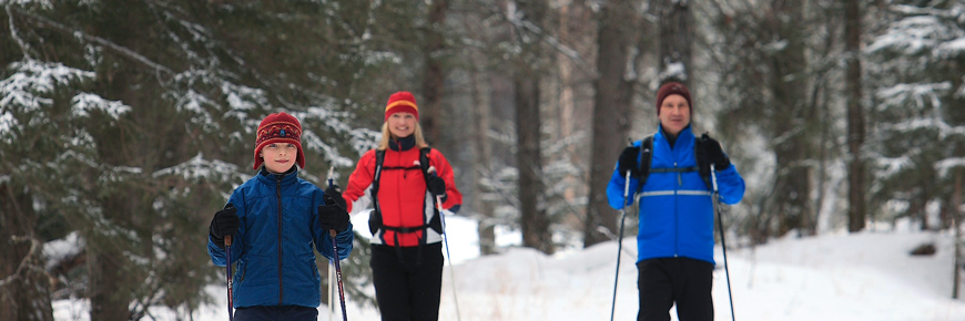 Une famille de trois personnes skie dans une forêt d’épinettes.