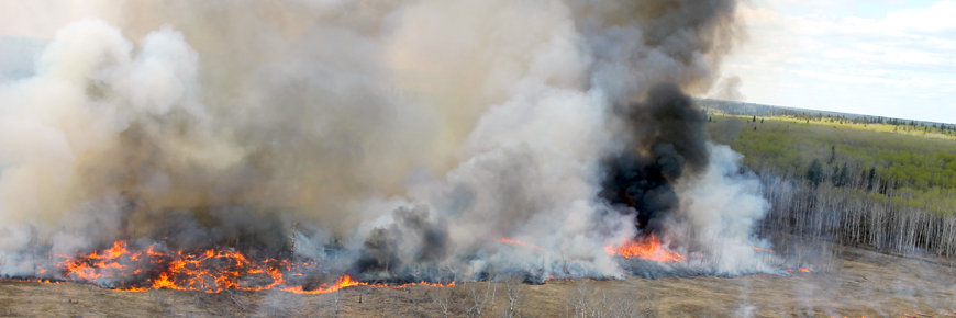 Thick smoke climbs high into the air as a prescribed burn moves through a large grassy meadow