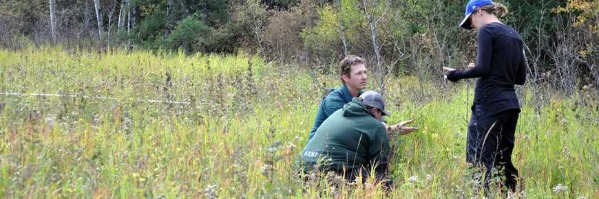 A Parks Canada Ecologist studies a grassy meadow with help from 2 university students. 