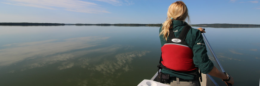 A park Resource Conservation Technician paddles a canoe across a calm lake.  