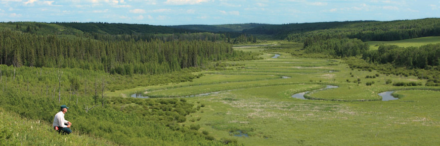 Un employé de Parcs Canada s’agenouille dans la zone herbeuse surplombant les méandres de la vallée de la Sturgeon.