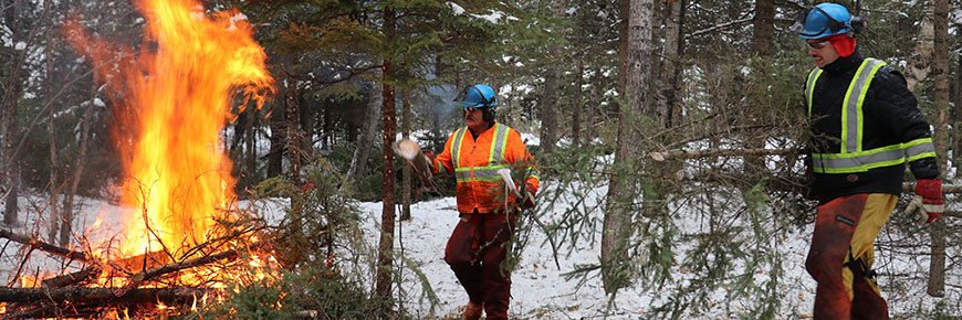 Two Parks Canada fire crew members place branches on a small fire in the fuel break.