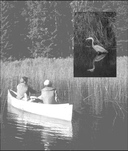 deux personnes en canoe