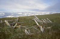 Remains of a sod house