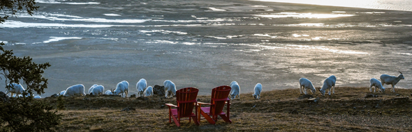 Red Chairs at Soldier's Summit