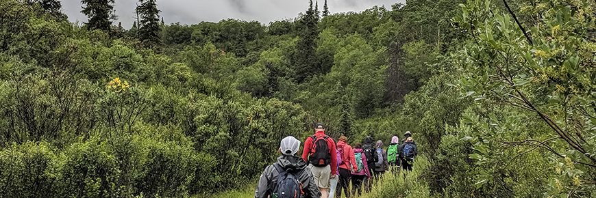 Randonneurs marchant en ligne dans les bois avec des montagnes en arrière-plan