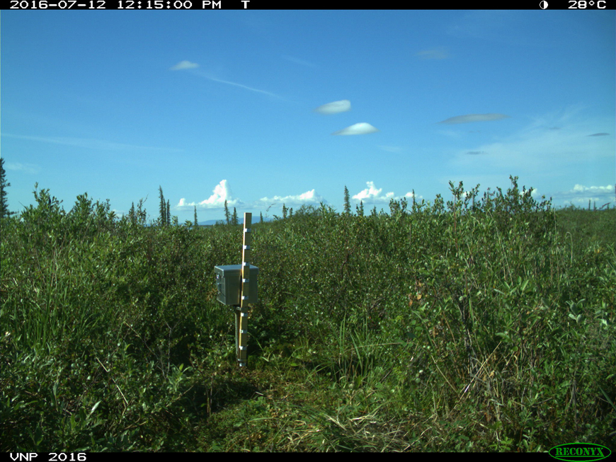 Image of monitoring site on July 12: 2016 