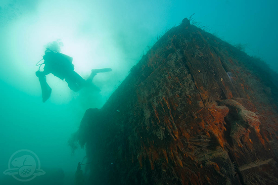 Diver on bow of HMS Investigator