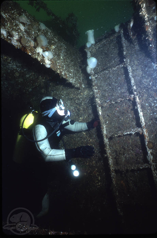 Diver in front of a ladder
