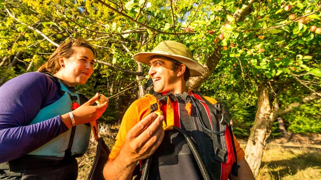 Deux campeurs profitent du verger au camping de la baie Shingle sur l'Île Pender