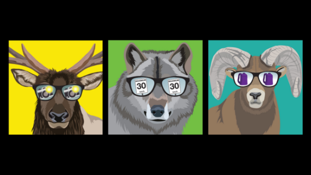 An Elk, Wolf, and Bighorn sheep wear sunglasses, reflecting different visitor rules that help keep wildlife safe.