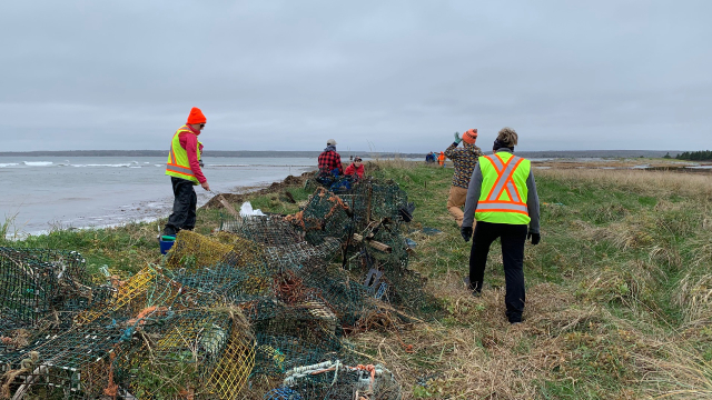 Volunteers in high-visibility vests help clean up trash that washed up on the shore.