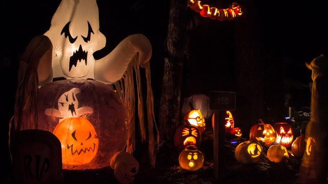 Des citrouilles-lanternes éclairées par des bougies, entourées de décorations d'Halloween représentant des fantômes et des citrouilles.