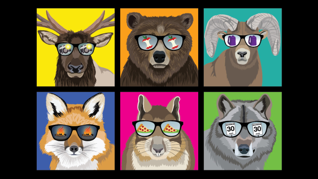 Six animated drawings of animals wearing sunglasses. 