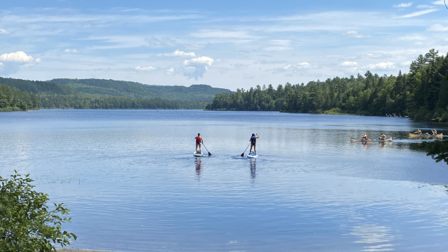 Deux personnes font de la planche à pagaie sur un lac bleu lors d'une journéee ensoleillée avec la forêt en arrière-plan.