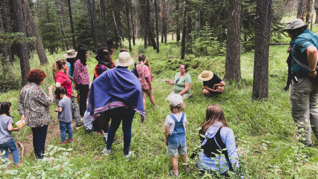 Un groupe de personnes marchant sur un sentier forestier dans le cadre d'une visite guidée.