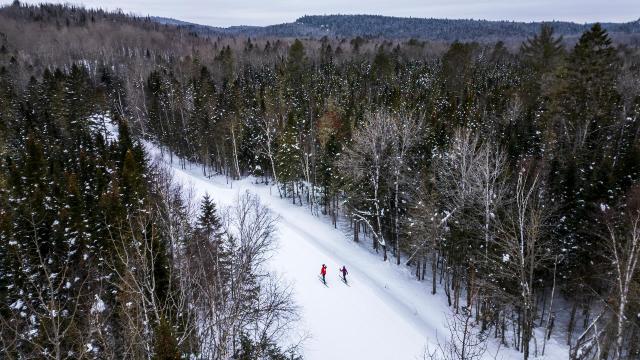 Un visiteur faisant du ski de fond sur un sentier hivernal enneigé en forêt.
