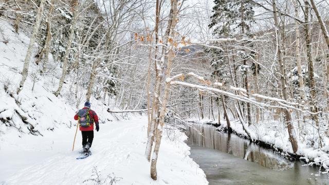 Des visiteurs se promènent dans une forêt enneigée lors d’une journée nuageuse.