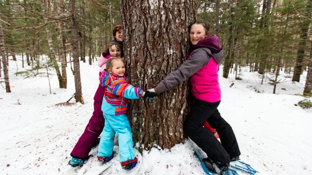 Quatre enfants avec des vêtements d'hiver serrent un arbre dans leurs bras sur un sentier forestier enneigé.