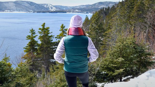 Un ensemble de pinceaux reposant sur une palette de peinture aux tons verts, bleus, gris et rouges.