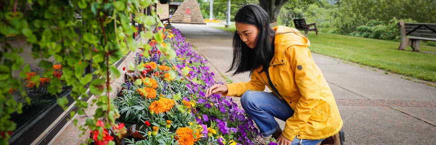 A visitor in a yellow jacket kneels to admire the colorful flowers along an alley