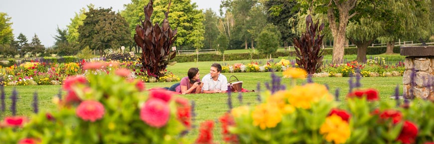 Visitors having a picnic in the colourful Victorian Gardens with old willows in the background.