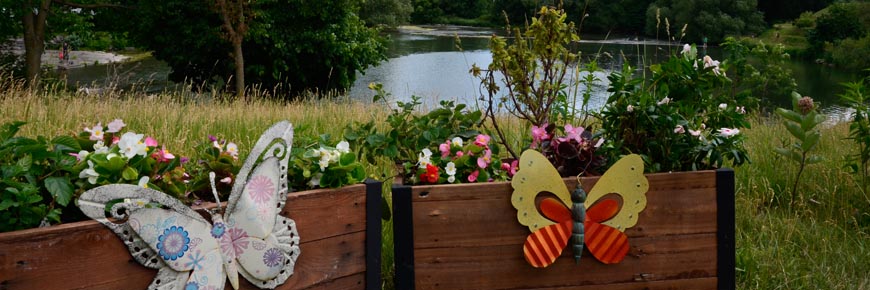 Flowers in a wooden raised garden bed with butterfly decorations.