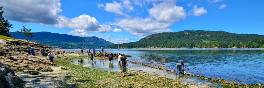 A community of people tend to a sea garden. 