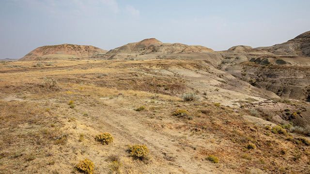 Vue panoramique des badlands dans le bloc Est du parc national des Prairies.