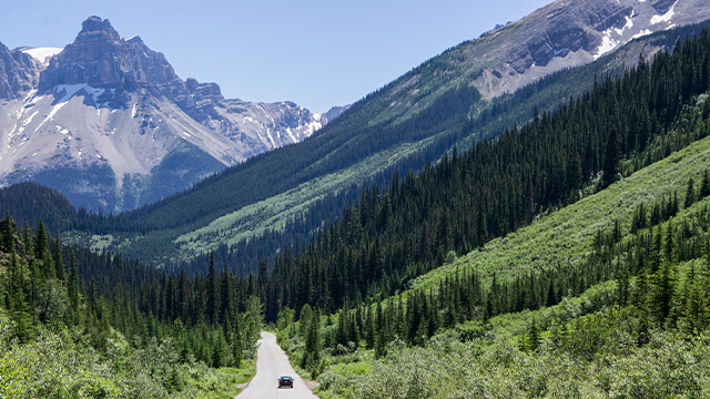 Un panorama de la route de la Vallée-de-la-Yoho en été.