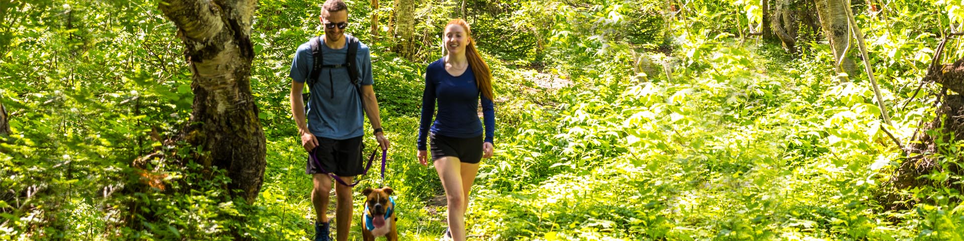 Two young adults are hiking with their dog on a leash in the forest of Forillon National Park.