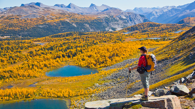 A hiker taking in an autumn panorama of lakes, forests, and mountains in Banff.