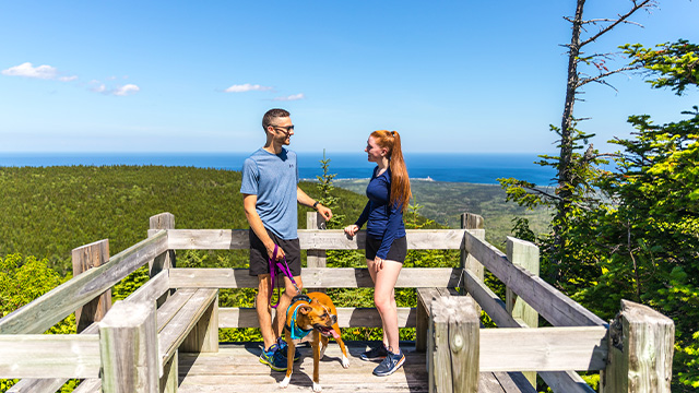 Two hikers with a dog on the Les Crêtes trail with the forest and the sea in the background in Forillon.