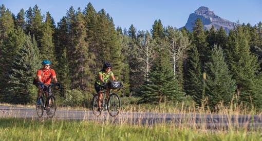 Two cyclists bike on the Bow Valley Parkway, green foliage and mountains in the background.