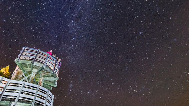 Des visiteurs observent les étoiles à partir de la tour dans le sentier de la Tourbière.