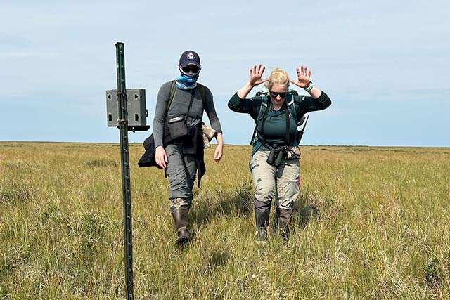 Two people walk in a field near a trail camera on a post. The person on the right has their hands outstretched on the side of their head as if mimicking having antlers.