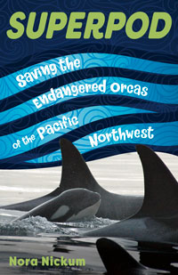 Photo de la couverture du livre de Nora. Le texte indique : « Superpod: Saving the Endangered Orcas of the Pacific Northwest ». Comprend également une image de quatre baleines en train de nager.