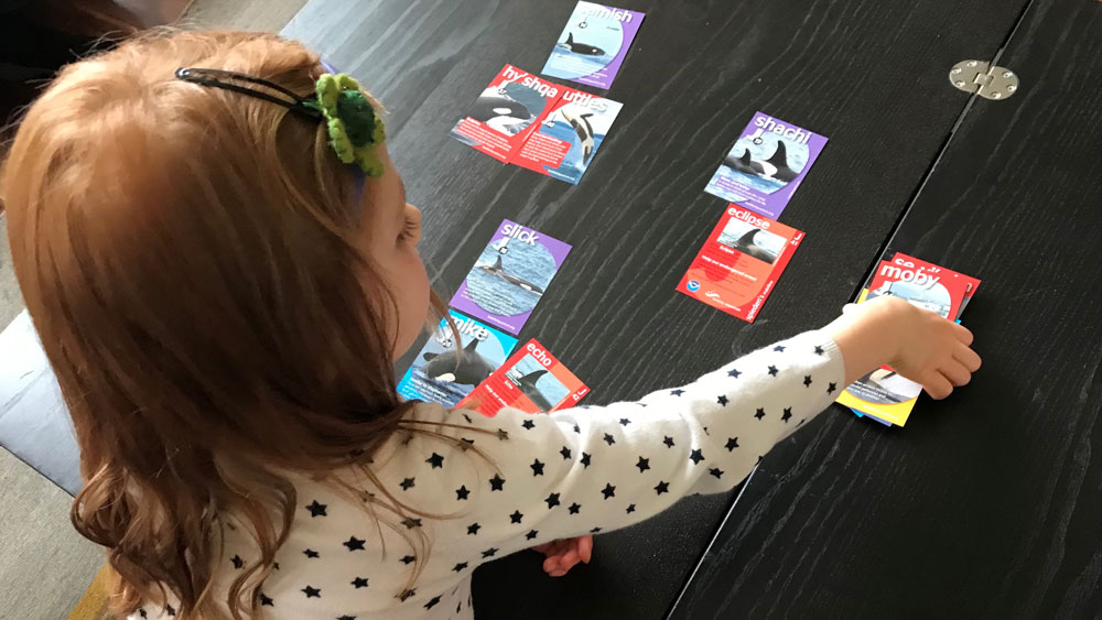 La fille de Nora joue avec un jeu de cartes à collectionner sur une table. Chaque carte porte le nom d’une baleine.
