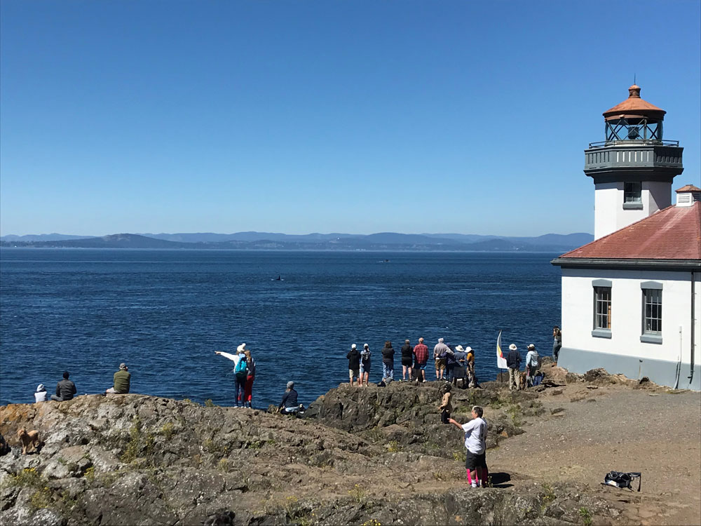 A group of people watching whales from shore beside a lighthouse at Lime Kiln State Park.