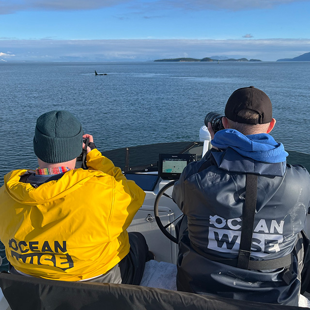 Image of Dr. Chloe Robinson and teammate out on the water in a boat photographing killer whales wearing a yellow Ocean Wise rain jacket.
