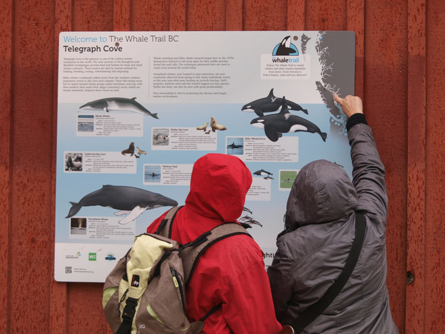 Two people pointing at a sign with whales on it