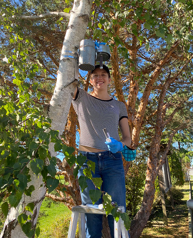 Kelsey sur une échelle attachant un échantillonneur d’air passif à un arbre.