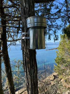 Un des échantillonneurs d’air passifs de Kelsey attaché à un arbre, avec une vue sur l’océan en arrière-plan. L’échantillonneur d’air passif de forme cylindrique est de couleur argent.