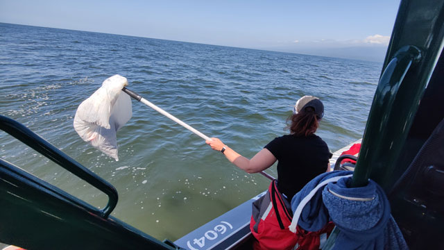 Ashley se tient sur le côté d’un bateau sur l’océan et utilise un bâton pour sortir des déchets de l’eau. 